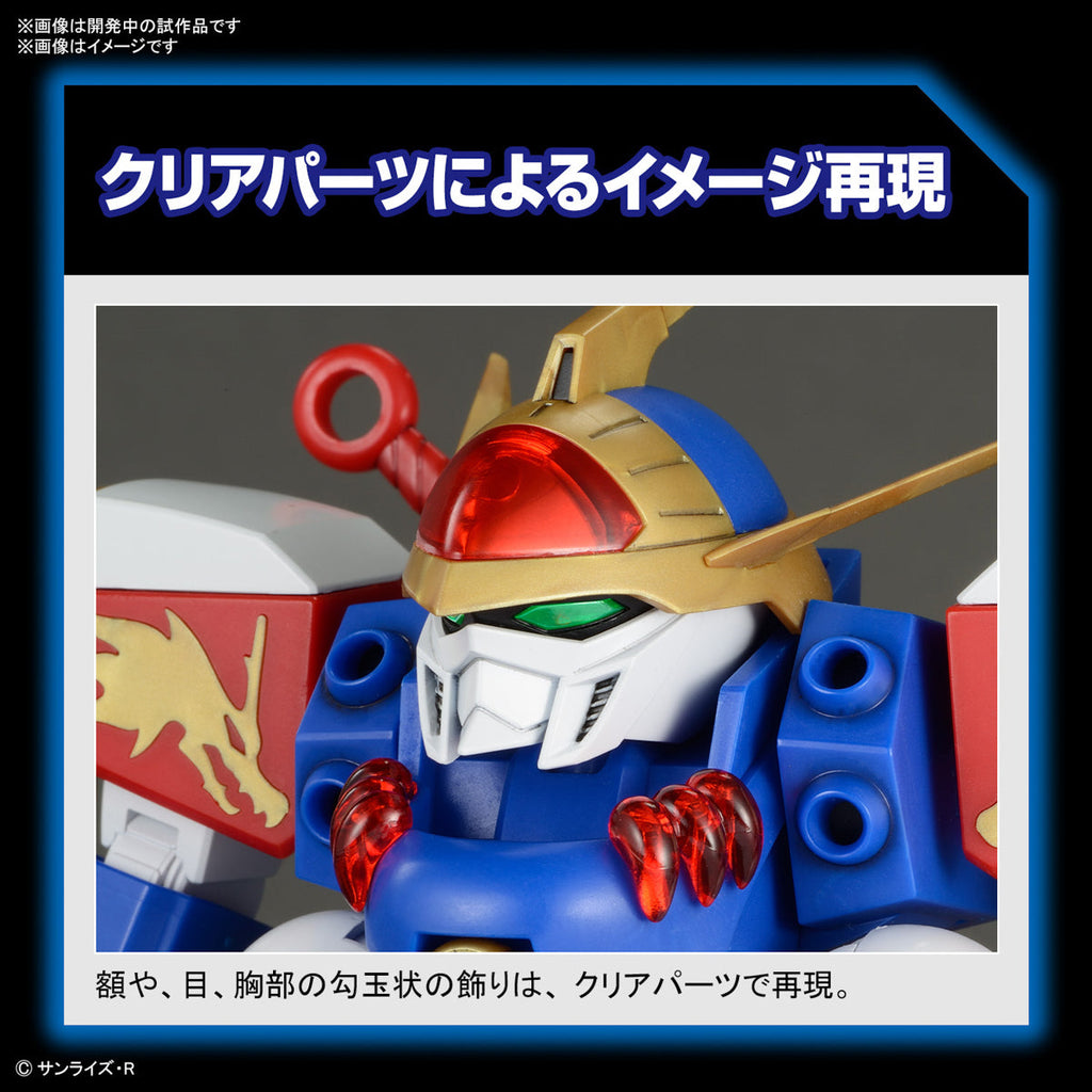 HG RYUJINMARU